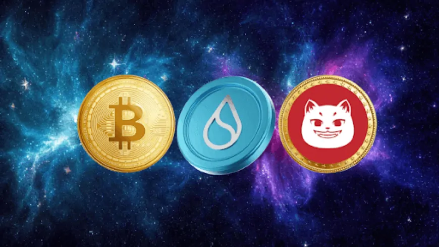 BTC Tests to $100K, Sui Aims for $5 — Is This $0.0006 Token the Next Big Thing?