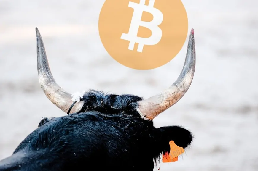 How Long Will Bitcoin's Bull Market Last?