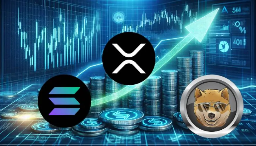 Top Bullish Picks This December: Dogen $3M Presale Surge, XRP Overtakes SOL in Market Cap, and DOGE Approaches $0.5!