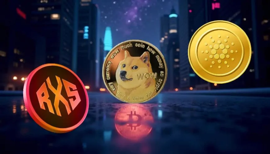 Don't Stop at XRP, Cardano, and Dogecoin: 3 More Coins That Could Take You from $650 to $650,000 in 12 Months.