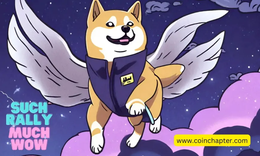 Why Is The Dogecoin (DOGE) Price Up Today? 