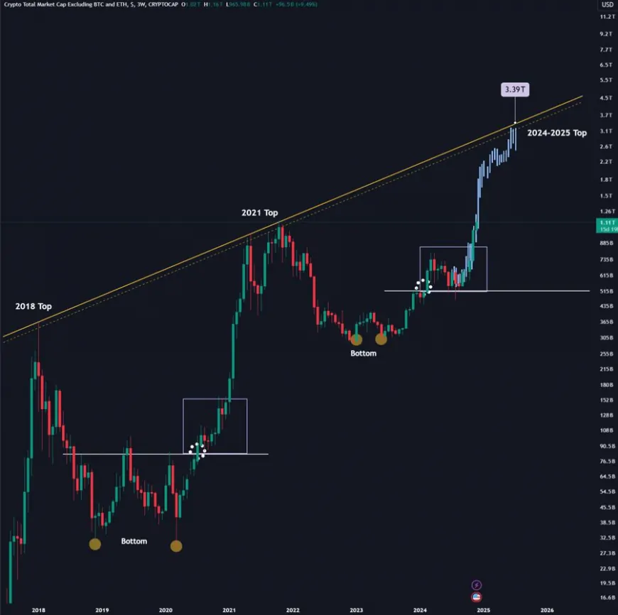 Altcoins May Experience Breakout Growth in 2025 Amid Bitcoin Halving and Rising Institutional Demand