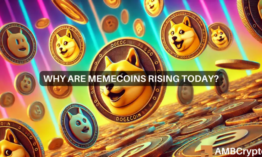 Why are memecoins rising today? DOGE, PEPE, WIF see surges