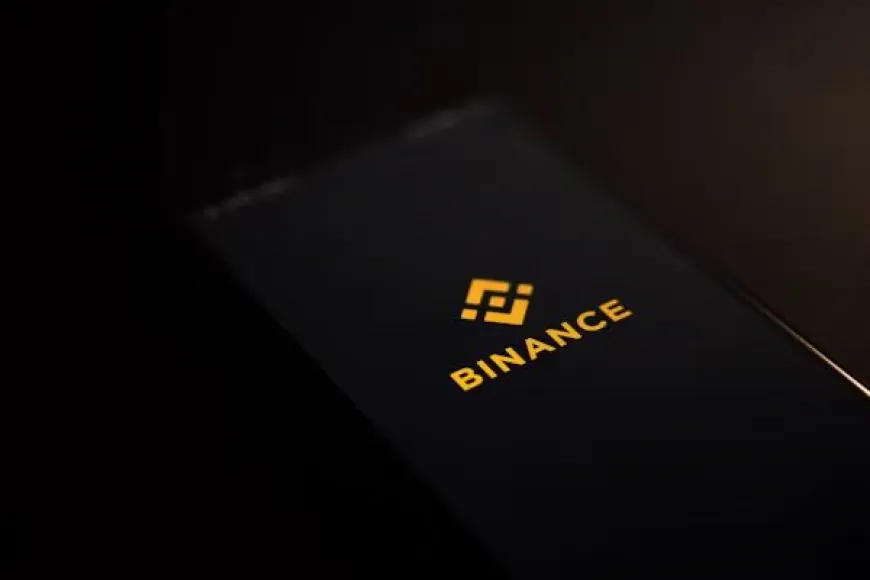 BNB Price Forecast: Plus Wallet as the Safest Choice for BNB Holders