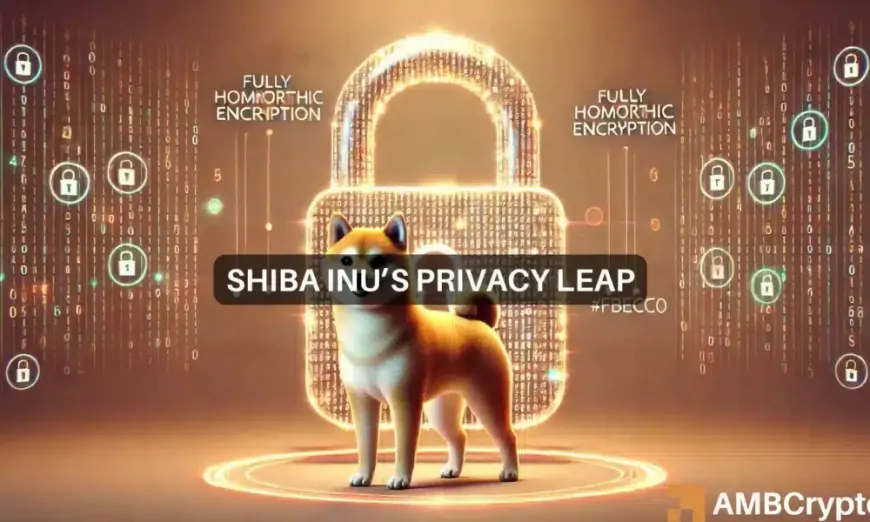 Shiba Inu [SHIB] update: 620M transactions, new privacy upgrade – Impact on price?