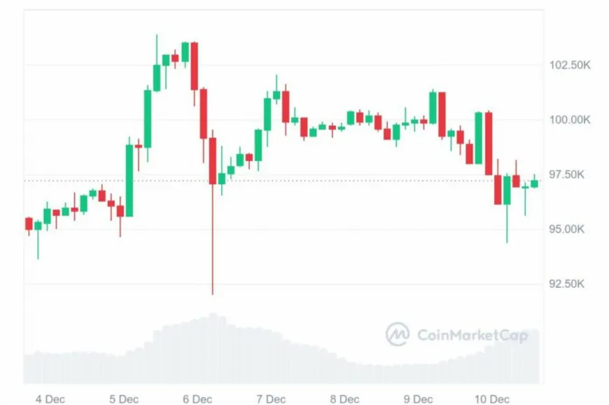 When Is The Crypto Bull Run Coming? Will 2025 Drive Up Bitcoin, Solana, Cardano As Younger Altcoins Emerge