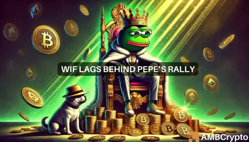 PEPE vs. WIF- Why the frog has more believers than the hatted dog