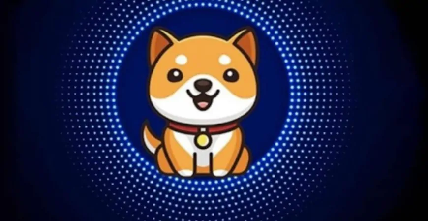 Baby Doge Coin Pumps 23% After Elon Musk Tweet – New ATH Incoming?