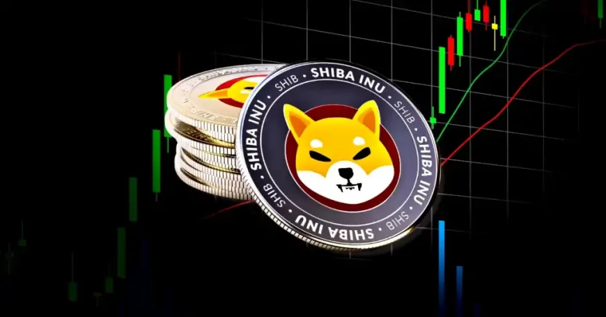 Here's What's Next for Shiba Inu (SHIB) Price Rally as it Losses a Crucial Price Range