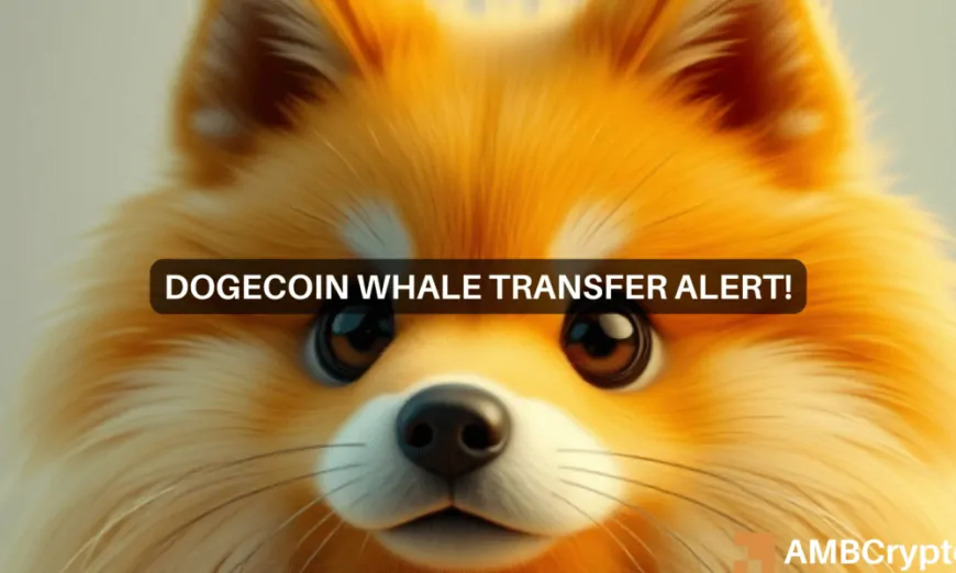 DOGE worth $56M moved by whales: Odds of a Dogecoin rally now are…