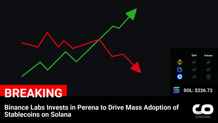 Binance Labs' Investment in Perena to Boost Stablecoin Adoption on Solana Network