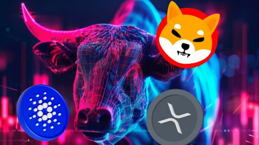 XRP and Cardano Break Out With Double-Digit Growth—Are They Mirroring Past Bull Run Patterns? The Shiba Inu Contender Emerges!