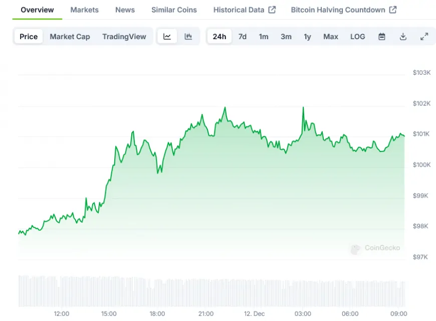 Bitcoin (BTC) Price: Whale Accumulation Surges with 342 New Large Wallets Created