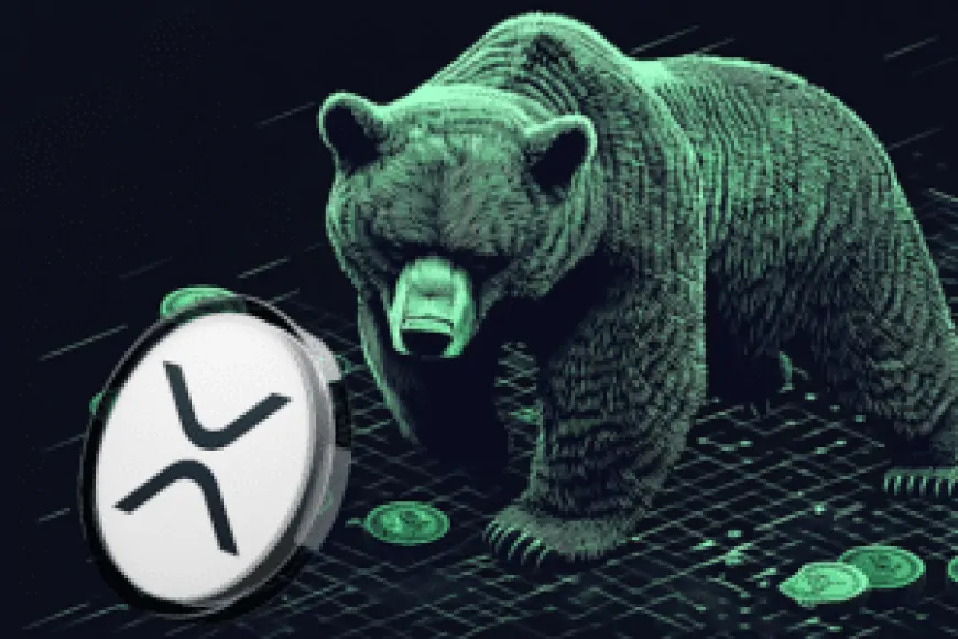 Experts Are Praising This New Altcoin As BNB and XRP See Double Digit Declines