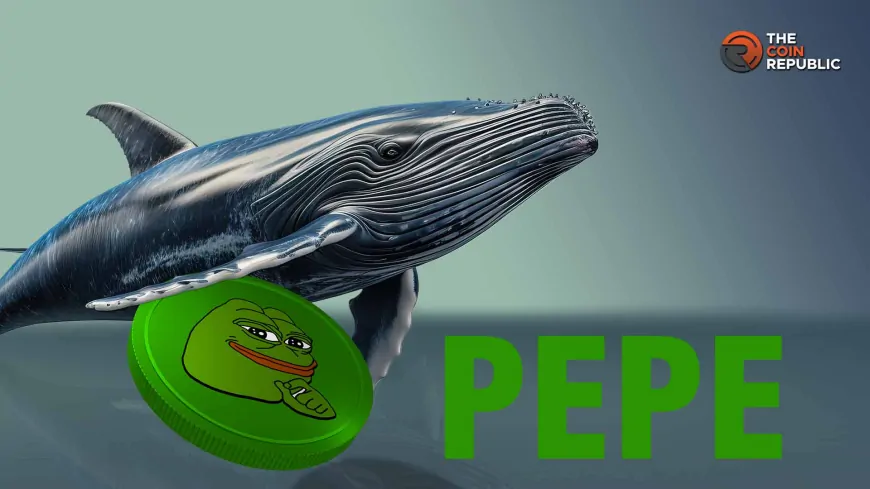 Pepe Coin: Whales on the Move, Time to Buy?