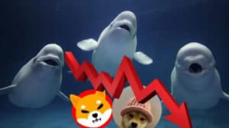 Whales Abandon SHIB and WIF in Favor of This Crypto With Unprecedented 99,000% Potential!