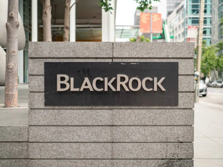 BlackRock Closes the Door on Altcoins: 'Only Bitcoin and Ethereum!'