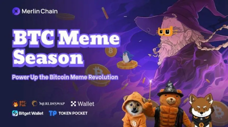 Merlin: Leading Consumer-Focused Innovation and Meme-Driven Culture in the Bitcoin Ecosystem