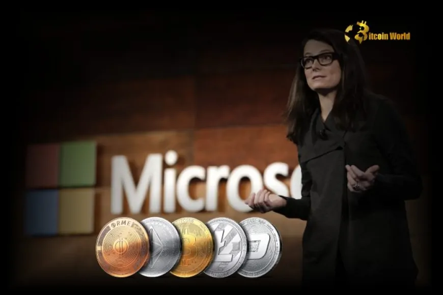 Microsoft CFO Hints at Exploring Cryptocurrencies Beyond Bitcoin