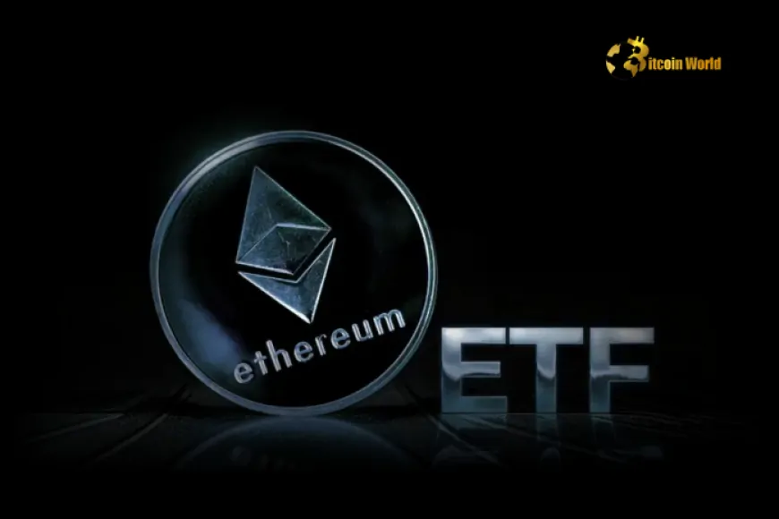 U.S. Spot Ethereum ETFs Record $276.99M Net Inflows on December 12