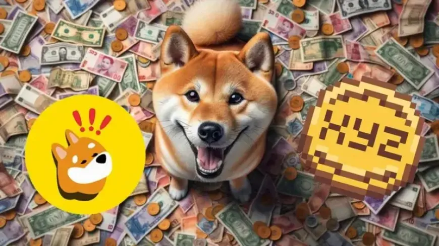 Dogecoin Millionaire Picks BONK and XYZVerse to Outperform the Market in 2025!