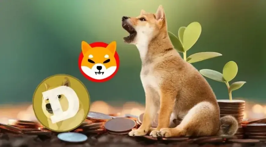 Shiba Inu vs. Dogecoin: Why This $0.001 Polygon-Based Gem Could Lead the Pack