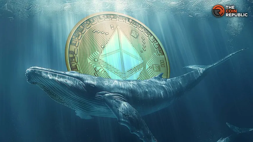 Ethereum Whales On The Move As Price Falls Below $4K, Will Prices Recover?