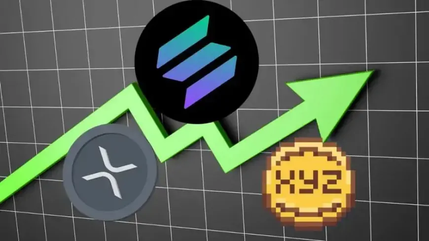 Will Solana Break Records with a New ATH Before 2025? XRP Aims High, and XYZVerse Shines Bright