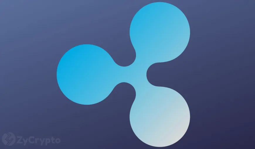 Ripple CTO Explains Why RLUSD Can Hit Whopping $1,200 At Launch, Warns Investors Not To “FOMO”