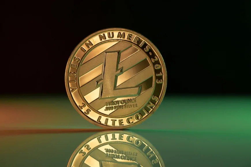 Litecoin, HBAR ETFs Could Come Before XRP, Solana: Here's Why