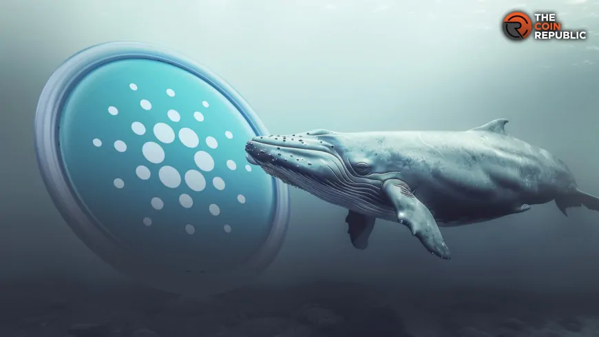 Cardano Sees Record Whale Activity, ADA Price To $2?