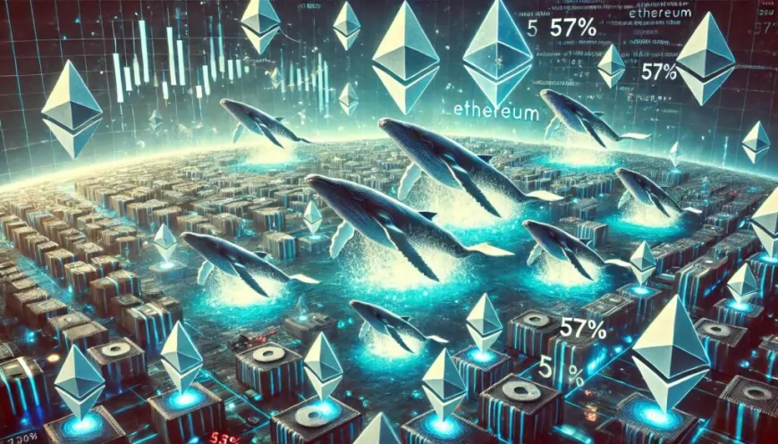 Just 104 Ethereum Whales Control 57% Of Supply, Data Reveals