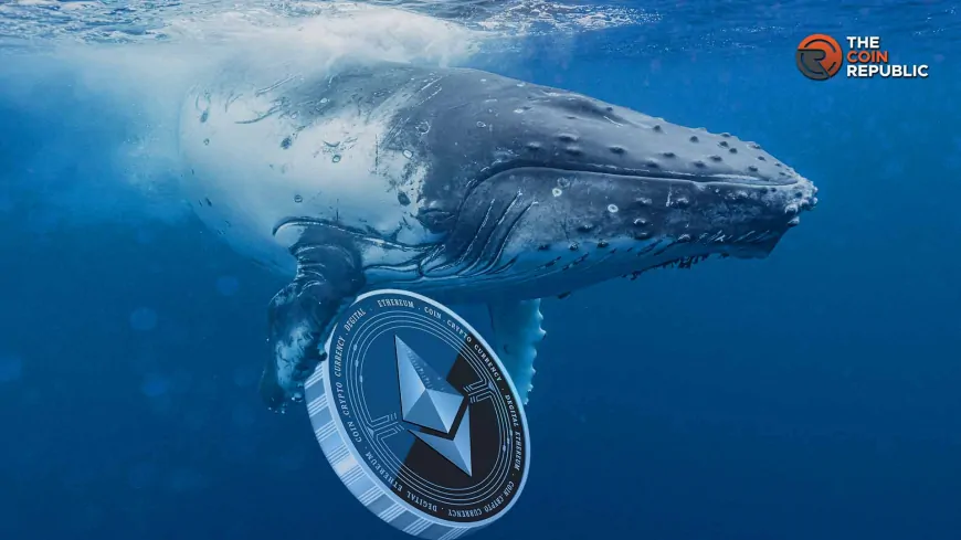 Ethereum Price Targets $5000 As Whale Activity Hints At New ATH