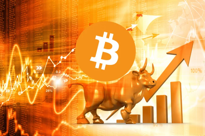 Why Bitcoin's Bull Market Might Last Until 2025