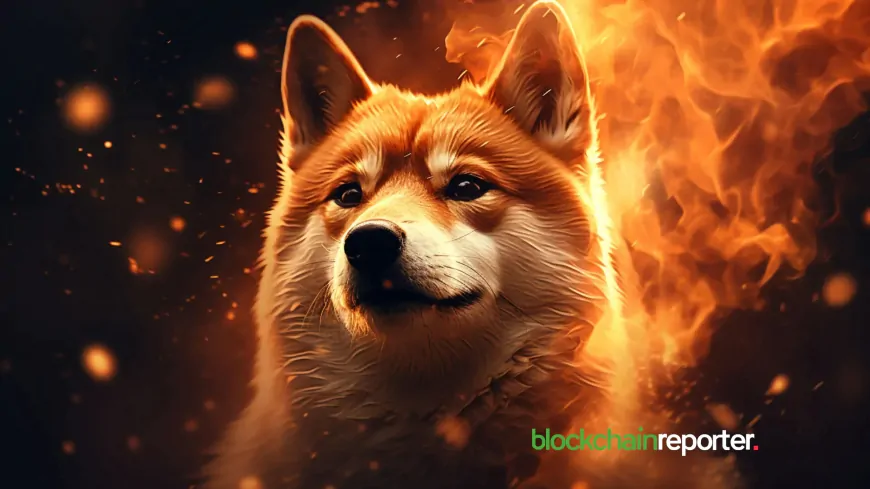 Are Memecoins Like Shiba Inu (SHIB) Dead? Expert Says Wait Until 2025 For PEPE Recovery