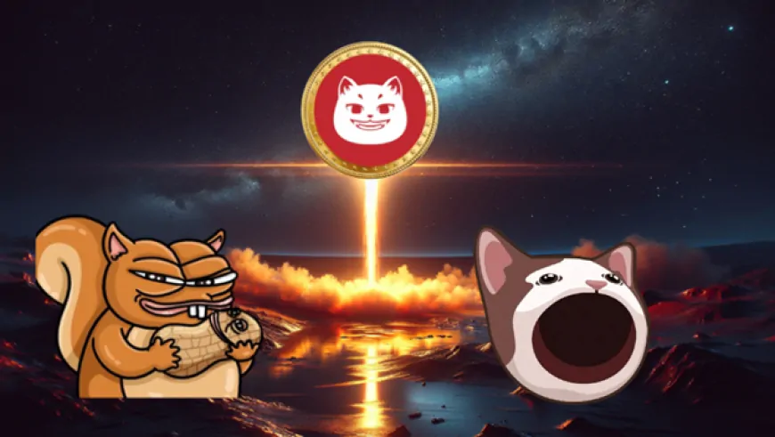 Don't Worry If You Missed PNUT And POPCAT Explosion. Here Are The Best Altcoins