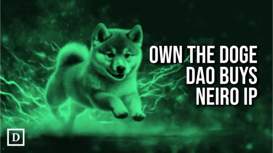 Doge IP Owner Buys Rights to Neiro, Setting Up Dog Fight Over New Meme