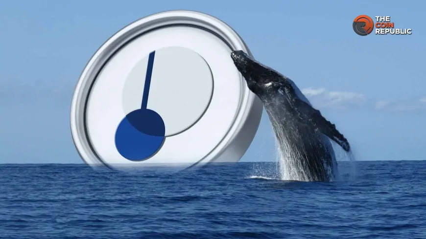 Can PENDLE Crypto Surpass $20 Amid Increased Fund Deposits, Whale Activity?