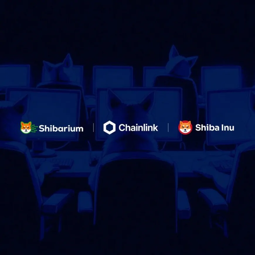 Chainlink Partners with Shiba Inu, Enhancing Multi-Chain Capabilities for SHIB, BONE, and LEASH Across 12 Blockchains