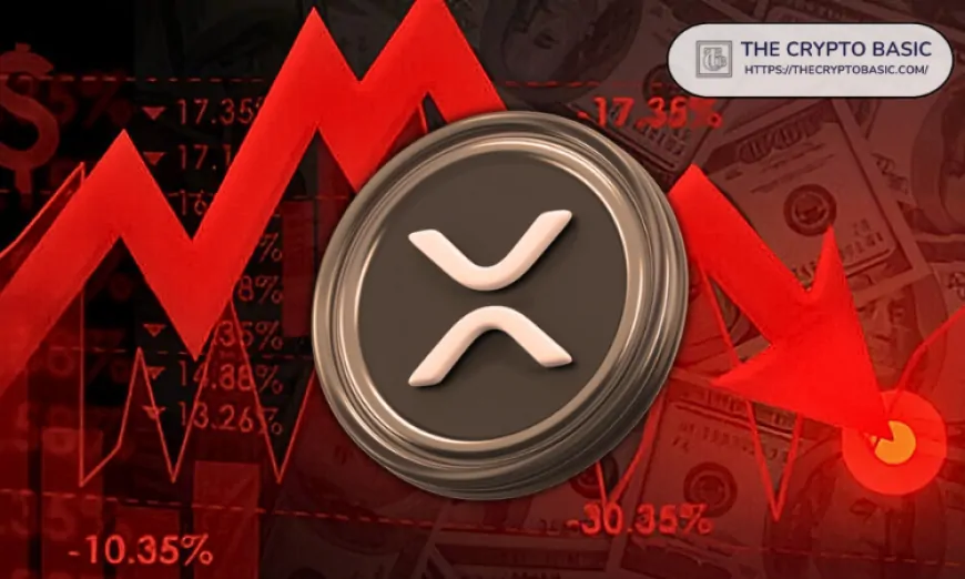 Market Pundit Shares Best XRP Investment Strategy as XRP Collapse