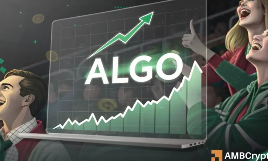 Algorand's ‘80% hike' – Can traders profit from ALGO and buy the dip now?