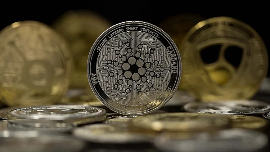 Cardano's 20% Price Drop Could be a Good Opportunity for Investors