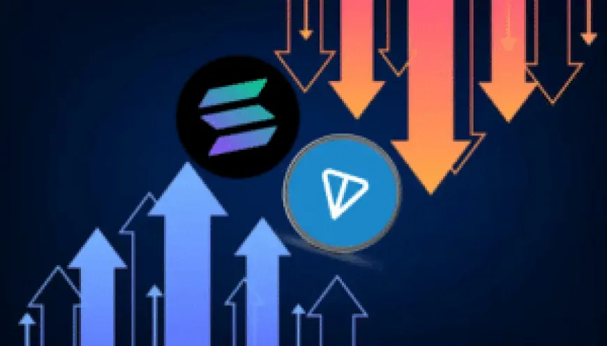 TON or SOL: the crypto that every investor should watch during this market downturn