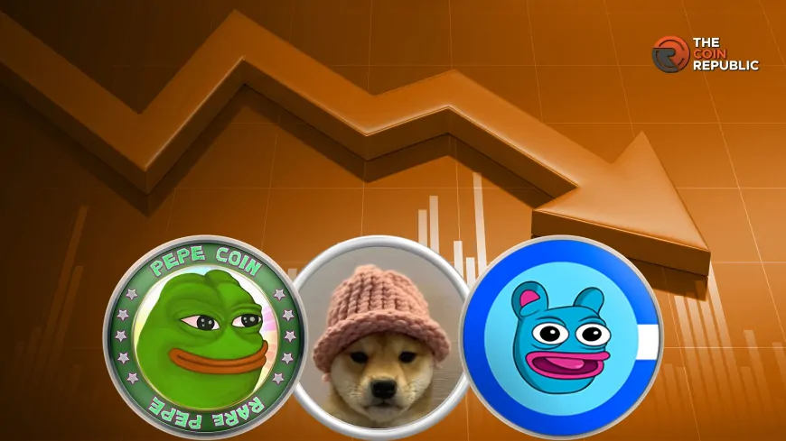 Wall Street Pepe Presale Raises Over $31M- Best Meme Coin To Buy This December?