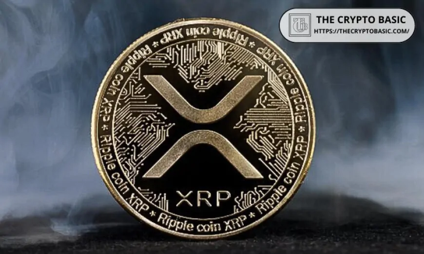 Trading Mentor Commends XRP Resilience During Latest Market Crash, Says XRP is ‘Worth Monitoring'