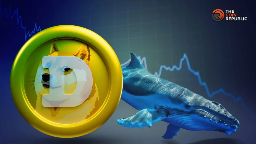 Doge Price Drops 12% As Whale Moves Of $59 Million