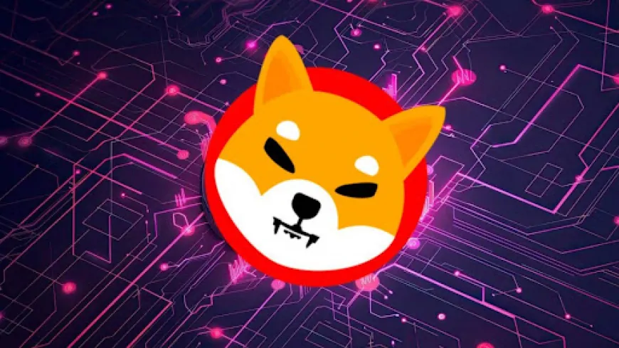 Shiba Inu (SHIB) Price Hits Key Support After Steep 40% Fall