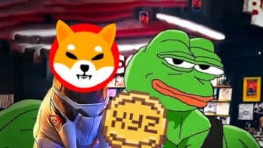 Polygon's meme coin sensation: aims to eclipse PEPE and SHIB with huge gains