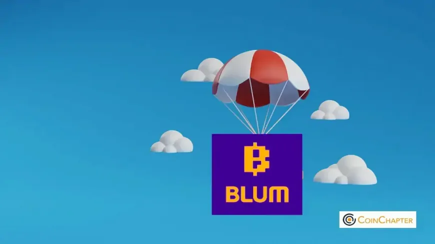 History Of Bitcoin Blum Video Codes – 24 December 2024