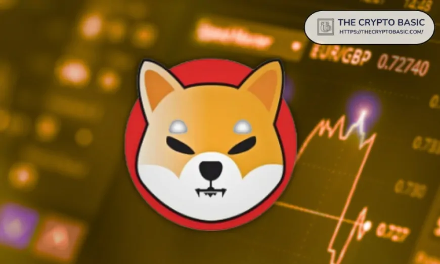 Here Are Key Shiba Inu Levels to Watch After Drop to $0.00001853